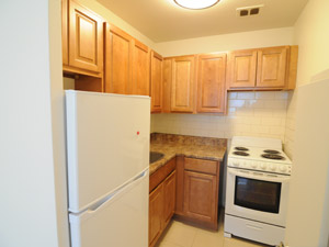 1 Bedroom apartment for rent in EAST YORK   