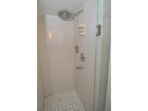 1 Bedroom apartment for rent in NORTH YORK    