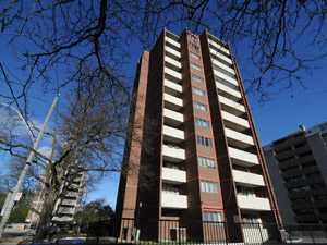 1 Bedroom apartment for rent in TORONTO 