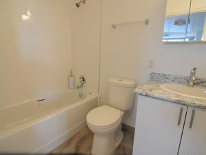 1 Bedroom apartment for rent in TORONTO 