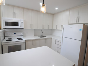 Bachelor apartment for rent in TORONTO   
