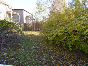 Room / Shared apartment for rent in RICHMOND HILL 