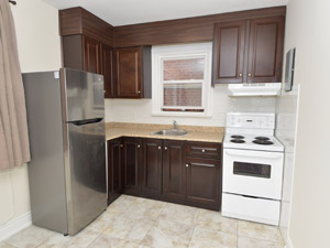 1 Bedroom apartment for rent in TORONTO 