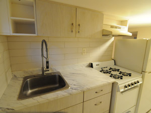 1 Bedroom apartment for rent in EAST YORK  