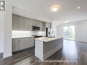 3+ Bedroom apartment for rent in Brampton 