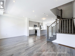 3+ Bedroom apartment for rent in Brampton 