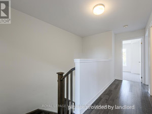 3+ Bedroom apartment for rent in Brampton 