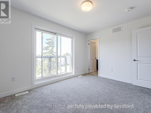 3+ Bedroom apartment for rent in Brampton 