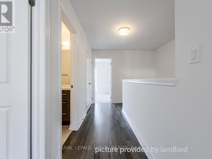 3+ Bedroom apartment for rent in Brampton 