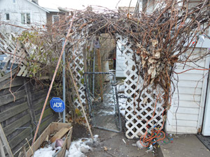 Room / Shared apartment for rent in York 