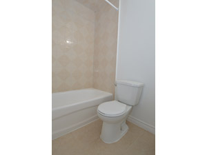 Bachelor apartment for rent in NORTH YORK 