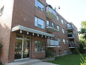 Bachelor apartment for rent in NORTH YORK 