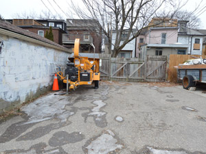 Room / Shared apartment for rent in Toronto 