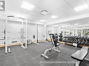 1 Bedroom apartment for rent in Toro0nto 