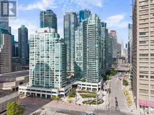 1 Bedroom apartment for rent in Toro0nto 