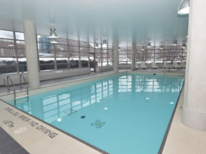 2 Bedroom apartment for rent in Toronto 