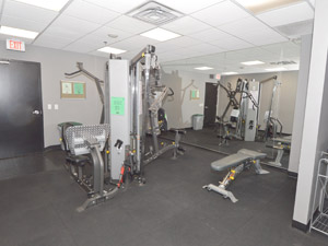 2 Bedroom apartment for rent in Toronto 