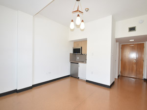 Bachelor apartment for rent in HAMILTON 