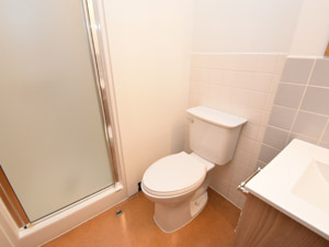 Bachelor apartment for rent in HAMILTON 