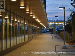 3+ Bedroom apartment for rent in Toronto 