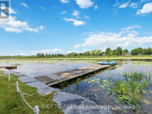 3+ Bedroom apartment for rent in Selwyn 