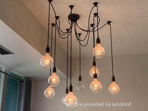 1 Bedroom apartment for rent in TORONTO