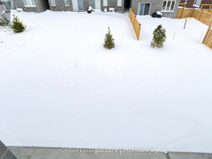 3+ Bedroom apartment for rent in Wasaga Beach            