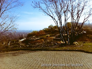 1 Bedroom apartment for rent in HAMILTON