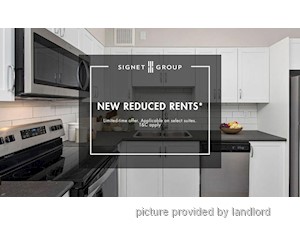Image ViT 245273