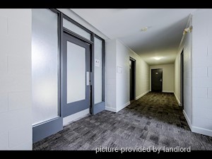 Bachelor apartment for rent in Kitchener