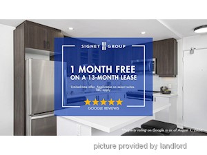 Image ViT 245341