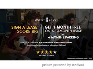 Image ViT 245378
