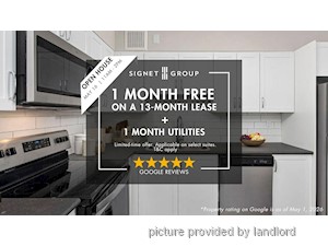 Image ViT 245385