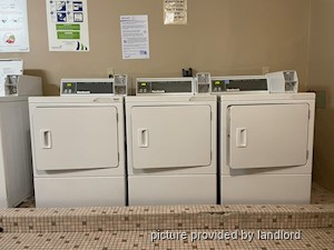 1 Bedroom apartment for rent in Hamilton