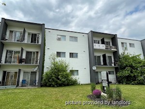 Bachelor apartment for rent in Kitchener