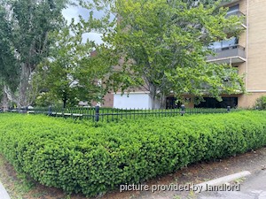 1 Bedroom apartment for rent in Toronto