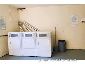 1 Bedroom apartment for rent in Scarborough