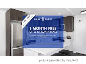 Image ViT 245471