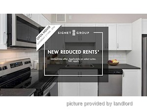 Image ViT 245483