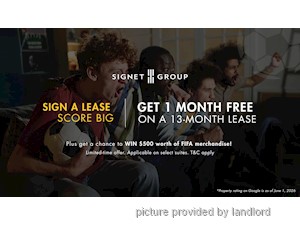 Image ViT 245653