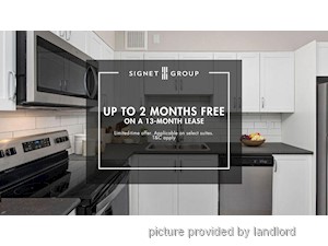 Image ViT 245679