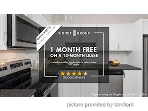 Image ViT 245686