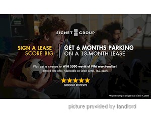 Image ViT 245686