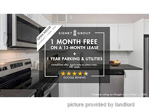 Image ViT 245706