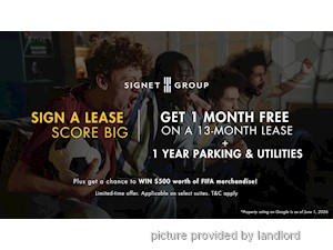 Image ViT 245710