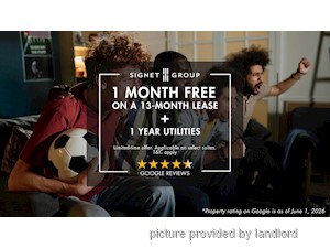 Image ViT 245722