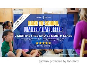 Image ViT 245768