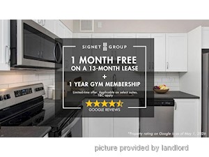 Image ViT 245784