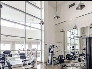 1 Bedroom apartment for rent in TORONTO