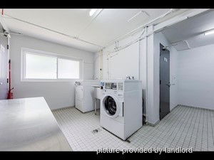 1 Bedroom apartment for rent in Kitchener